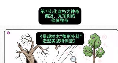第07节：化腐朽为神奇&mdash;&mdash;偏冠、秃顶树的修复整形，课程：《景观树木&ldquo;整形外科&rdquo;造型实战特训营》#识农AI
