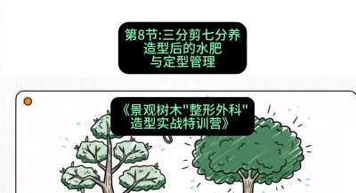 第08节：三分剪七分养&mdash;&mdash;造型后的水肥与定型管理，课程：《景观树木&ldquo;整形外科&rdquo;造型实战特训营》#识农AI