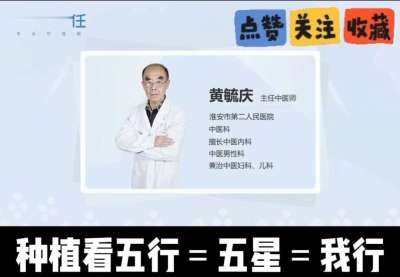 中药材淫羊藿怎么种？听专家一次讲明白！不挑地块好管理，耐寒耐旱省心省力，新手也能轻松上手，药用价值高、市场需求稳，妥妥的增收好品种～ 从生长习性到采收要点，干货满满无废话，种植疑问直接问，一对一答疑解
