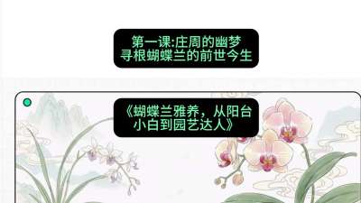 第一节：庄周的幽梦：寻根蝴蝶兰的前世今生，课程：《蝴蝶兰雅养六讲：从阳台小白到园艺达人》#识农AI