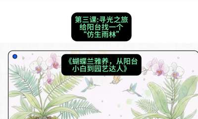 第三节：寻光之旅：给阳台找一个&ldquo;仿生雨林&rdquo;，课程：《蝴蝶兰雅养六讲：从阳台小白到园艺达人》#识农AI