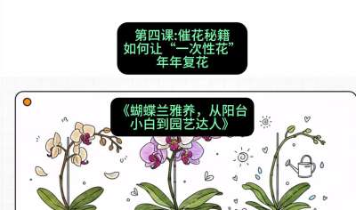 第四节：催花秘籍：如何让&ldquo;一次性花&rdquo;年年复花，课程：《蝴蝶兰雅养六讲：从阳台小白到园艺达人》#识农AI