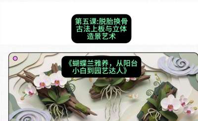 第五节：脱胎换骨：古法上板与立体造景艺术，课程：《蝴蝶兰雅养六讲：从阳台小白到园艺达人》#识农AI