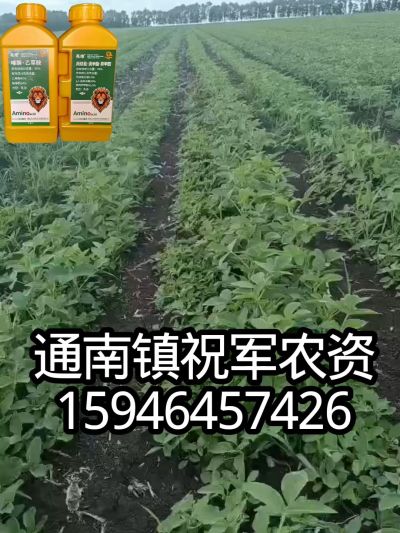 大豆苗前封闭，可封红根苋菜，灰菜，兰花菜，野豆子，捞豆秧等恶性杂草，封杀兼备的高端产品。