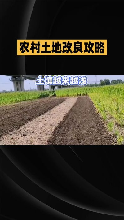 1. 先搞懂：你到底要改良哪块地、种什么
 
- 土土土在哪里？
就是你自家农田、菜地、果园，哪块地想种庄稼，就测哪块地的土。
​
- 有水没有水？
有水能浇：改良更省事，施肥、调酸碱都好操作。
没水