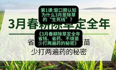 第1节：窗口期认知，为什么3月是除草的&ldquo;生死线&rdquo;？，课程：《3月春耕除草定全年：省钱、省药、不烧苗、少打两遍药的秘密》