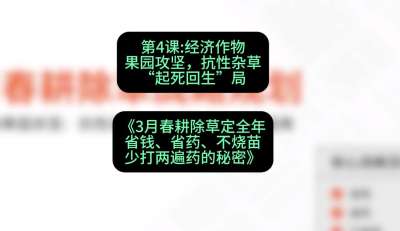 第4节：经济作物果园攻坚，抗性杂草&ldquo;起死回生&rdquo;局，课程：《3月春耕除草定全年：省钱、省药、不烧苗、少打两遍药的秘密》